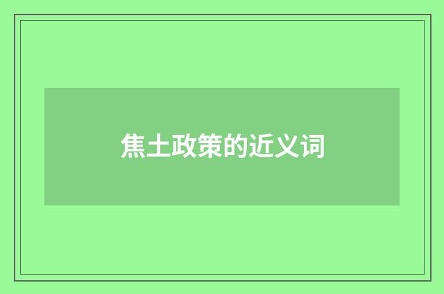 焦土政策的近义词