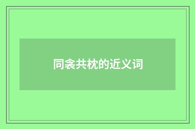 同衾共枕的近义词