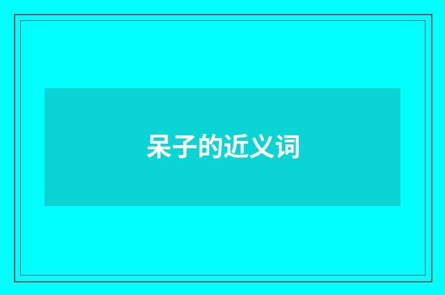 呆子的近义词