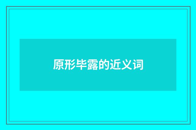 原形毕露的近义词