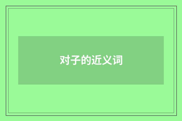 对子的近义词