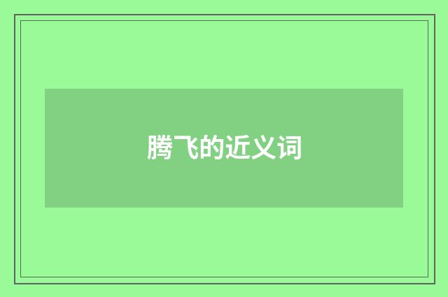 腾飞的近义词