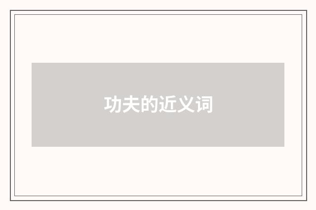 功夫的近义词