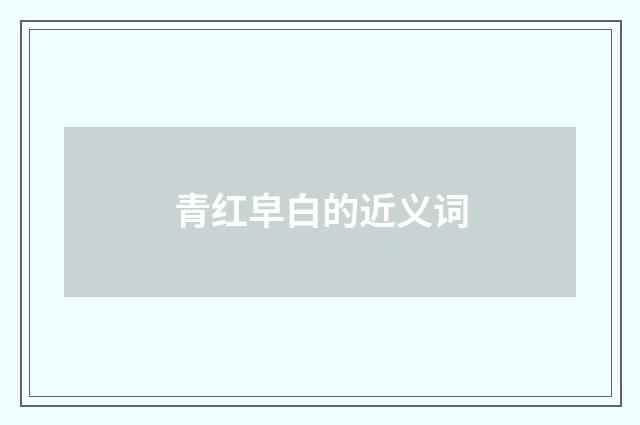 青红皁白的近义词