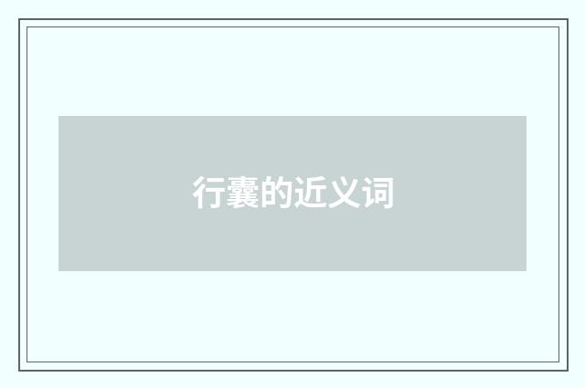 行囊的近义词