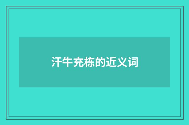 汗牛充栋的近义词