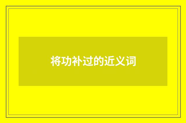 将功补过的近义词
