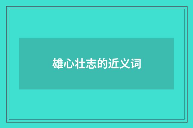 雄心壮志的近义词