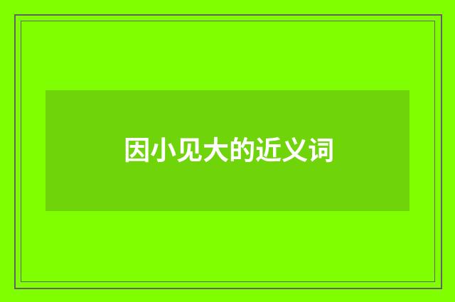 因小见大的近义词