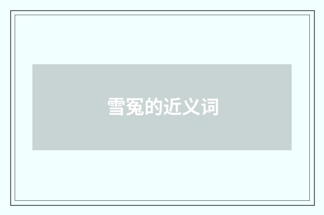 雪冤的近义词