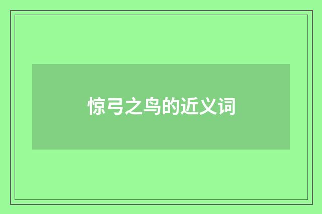 惊弓之鸟的近义词