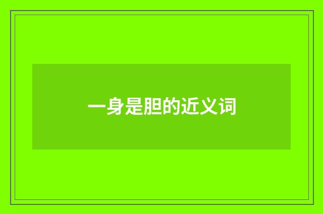 一身是胆的近义词