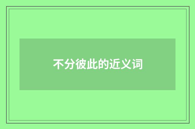 不分彼此的近义词
