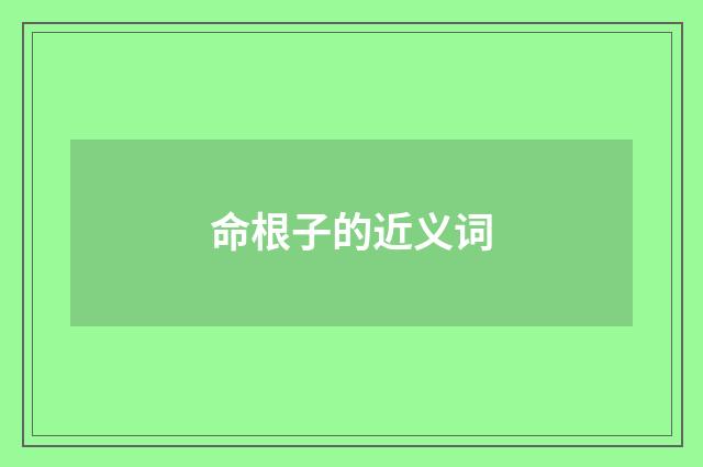 命根子的近义词