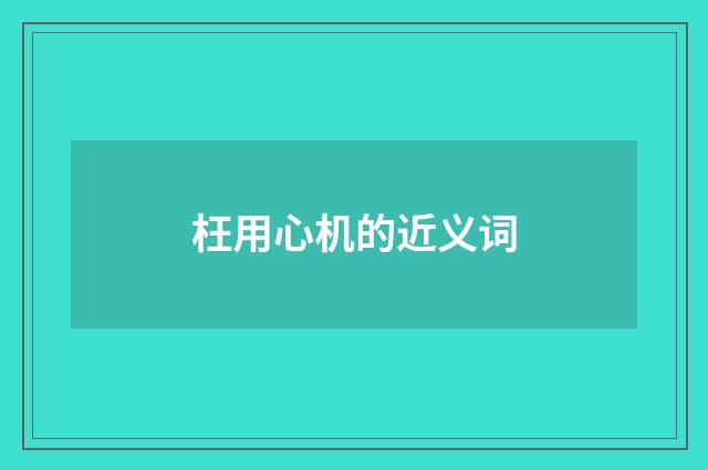 枉用心机的近义词