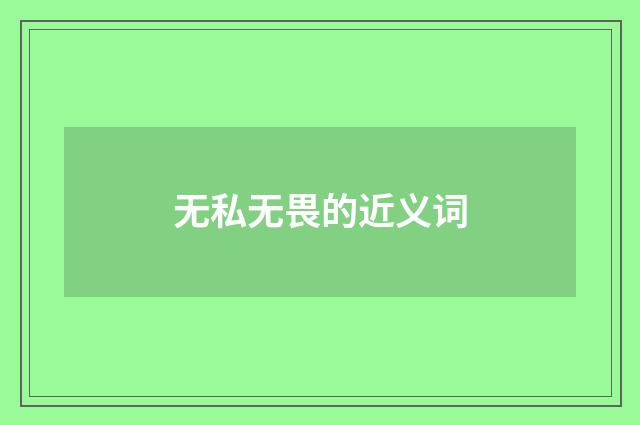 无私无畏的近义词