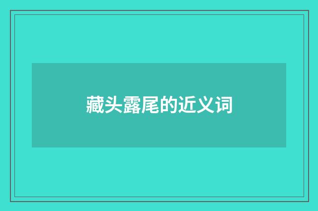 藏头露尾的近义词