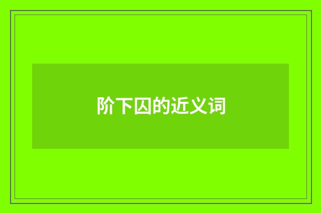 阶下囚的近义词