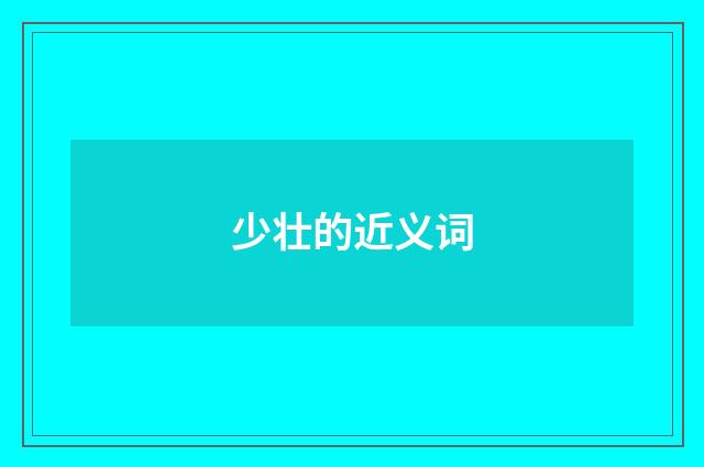 少壮的近义词