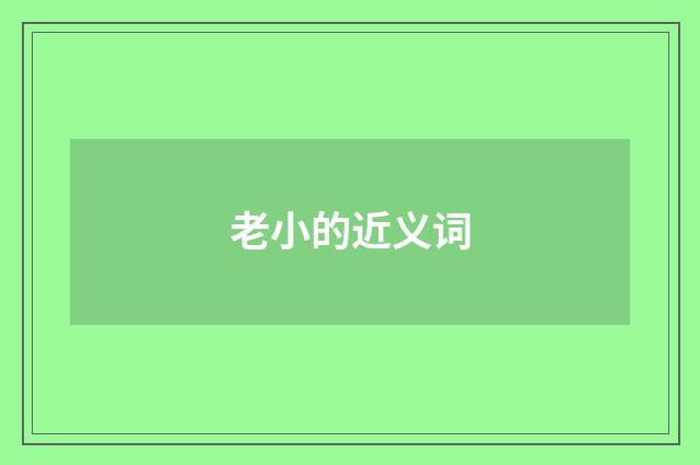 老小的近义词