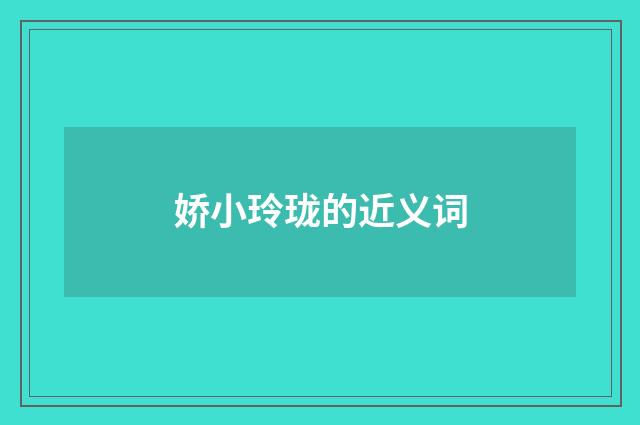 娇小玲珑的近义词