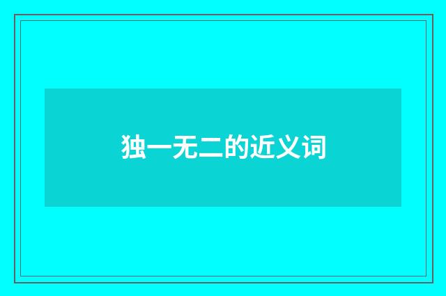 独一无二的近义词