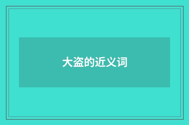 大盗的近义词