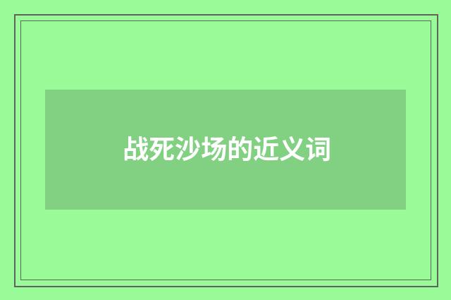 战死沙场的近义词