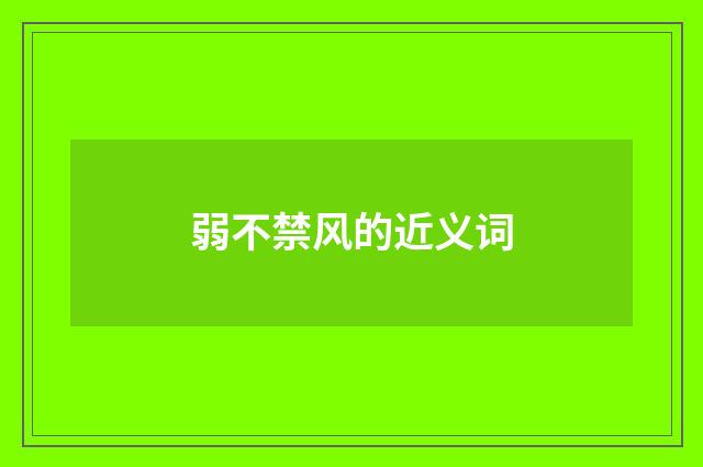 弱不禁风的近义词
