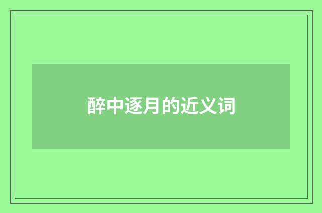 醉中逐月的近义词
