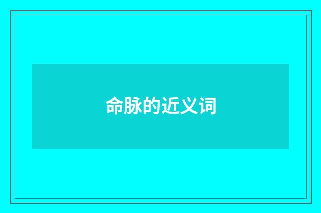 命脉的近义词