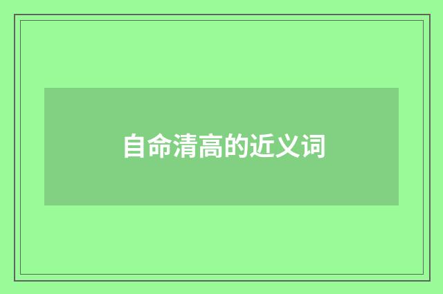 自命清高的近义词