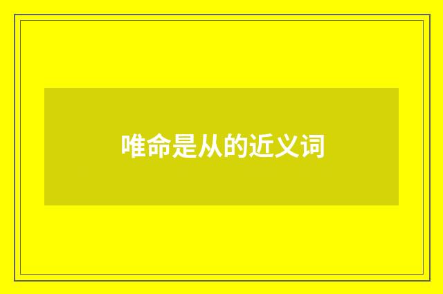 唯命是从的近义词