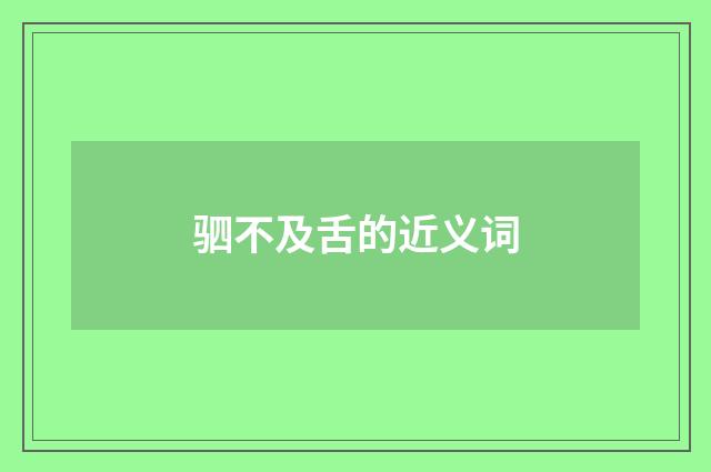 驷不及舌的近义词