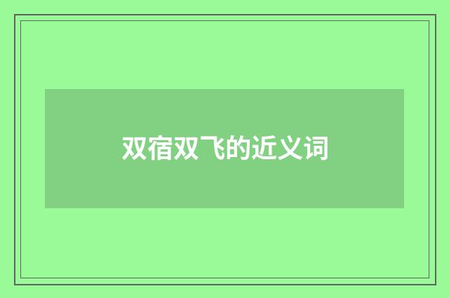 双宿双飞的近义词