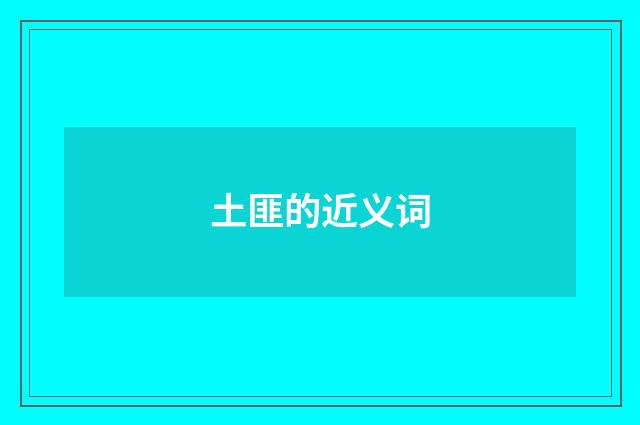 土匪的近义词