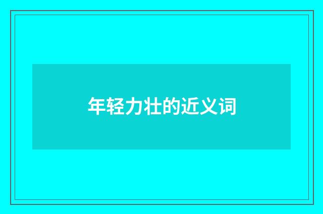 年轻力壮的近义词