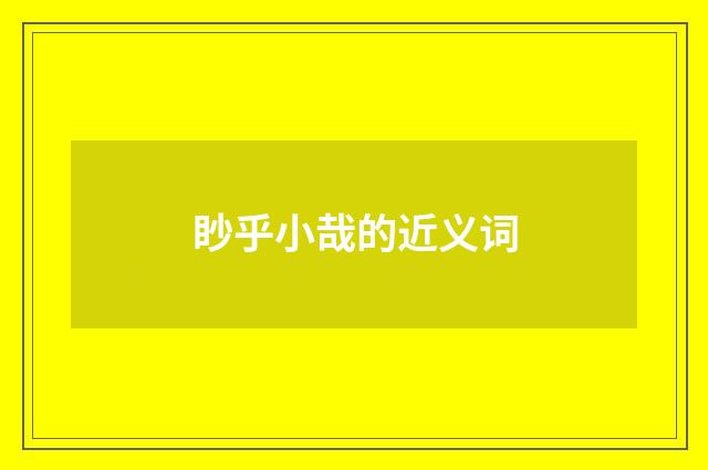 眇乎小哉的近义词