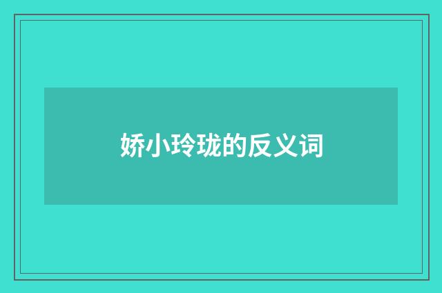 娇小玲珑的反义词