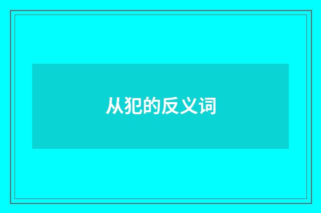 从犯的反义词
