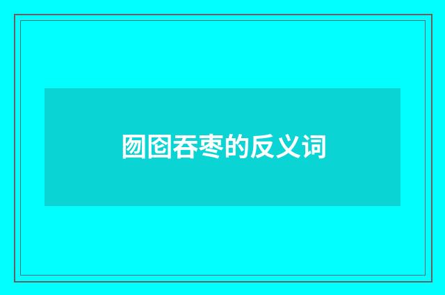 囫囵吞枣的反义词