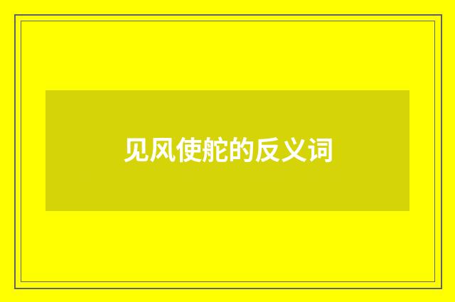 见风使舵的反义词