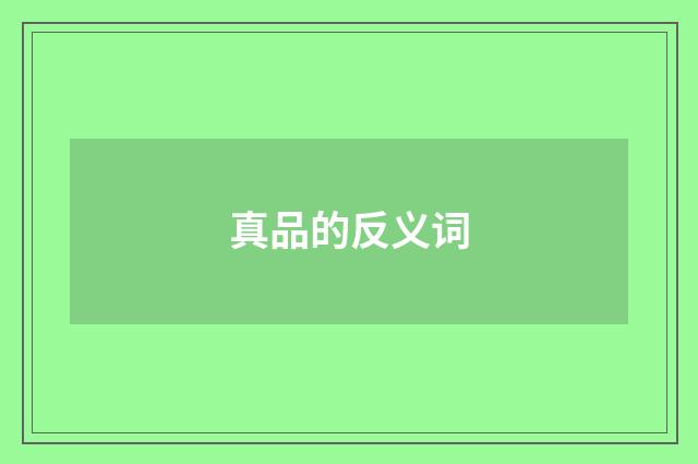 真品的反义词