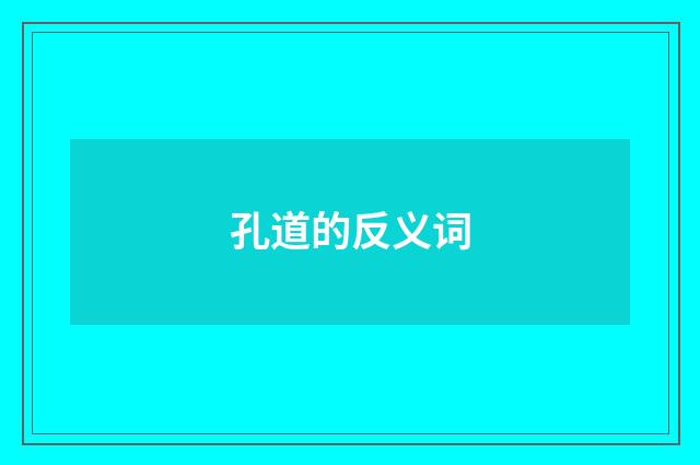 孔道的反义词