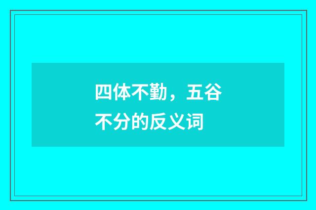 四体不勤，五谷不分的反义词