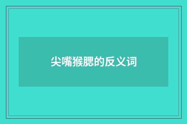 尖嘴猴腮的反义词