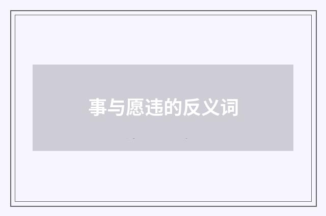 事与愿违的反义词