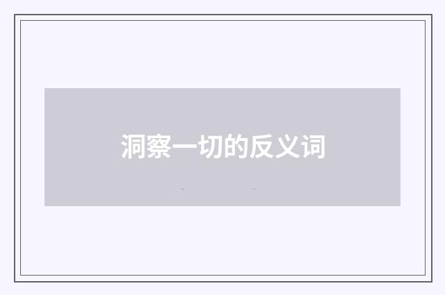 洞察一切的反义词
