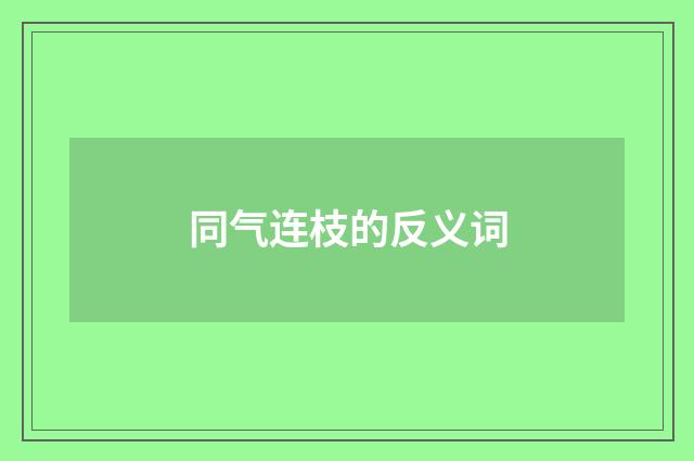 同气连枝的反义词