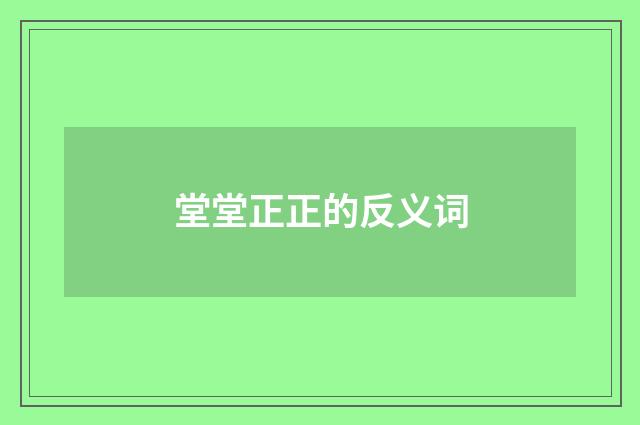 堂堂正正的反义词